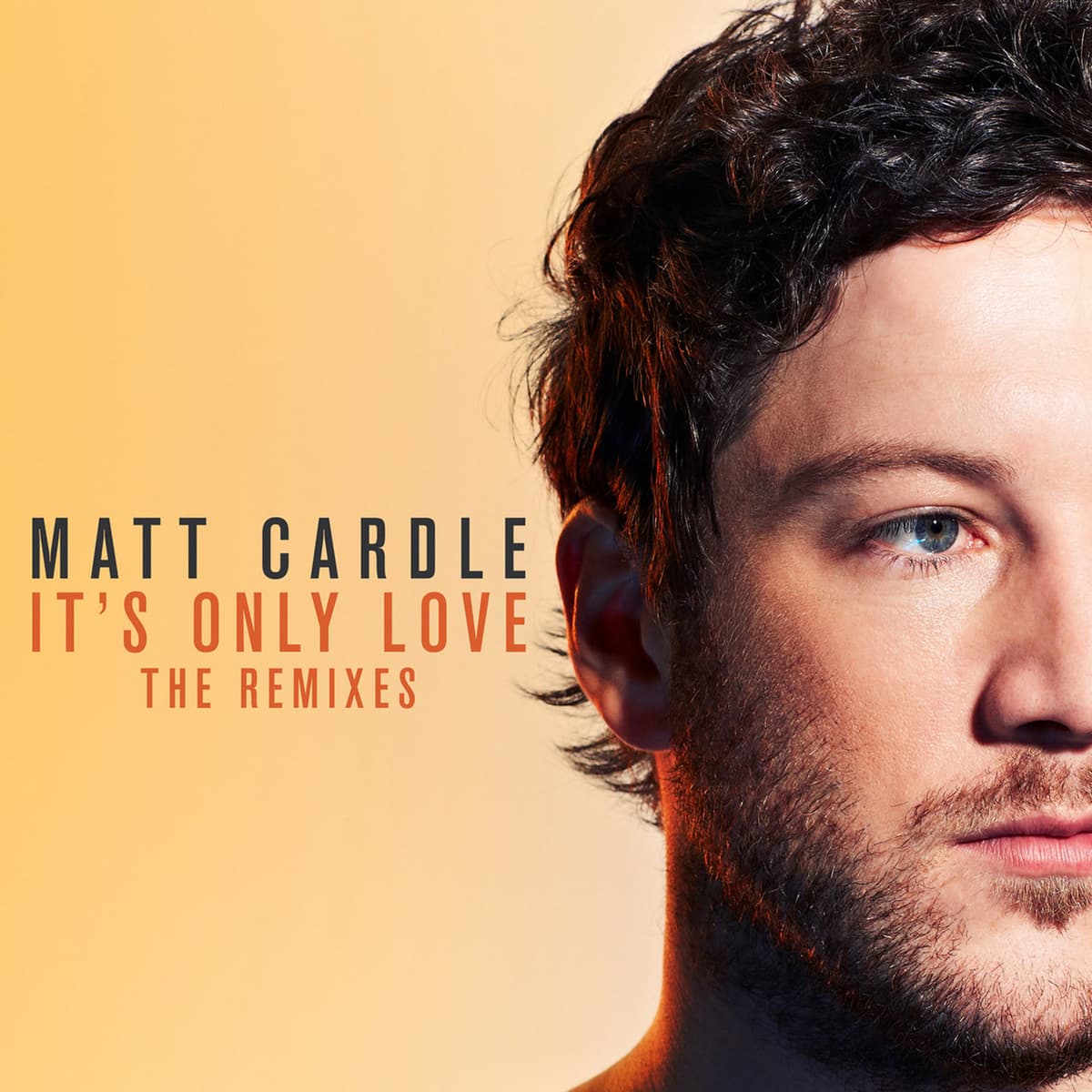 It's Only Love (The Remixes)