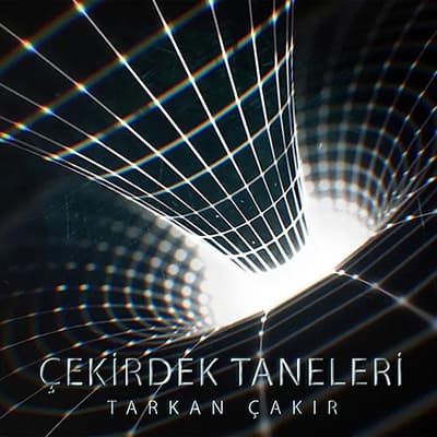 Çekirdek Taneleri