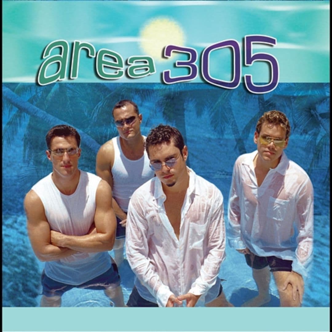 Area 305