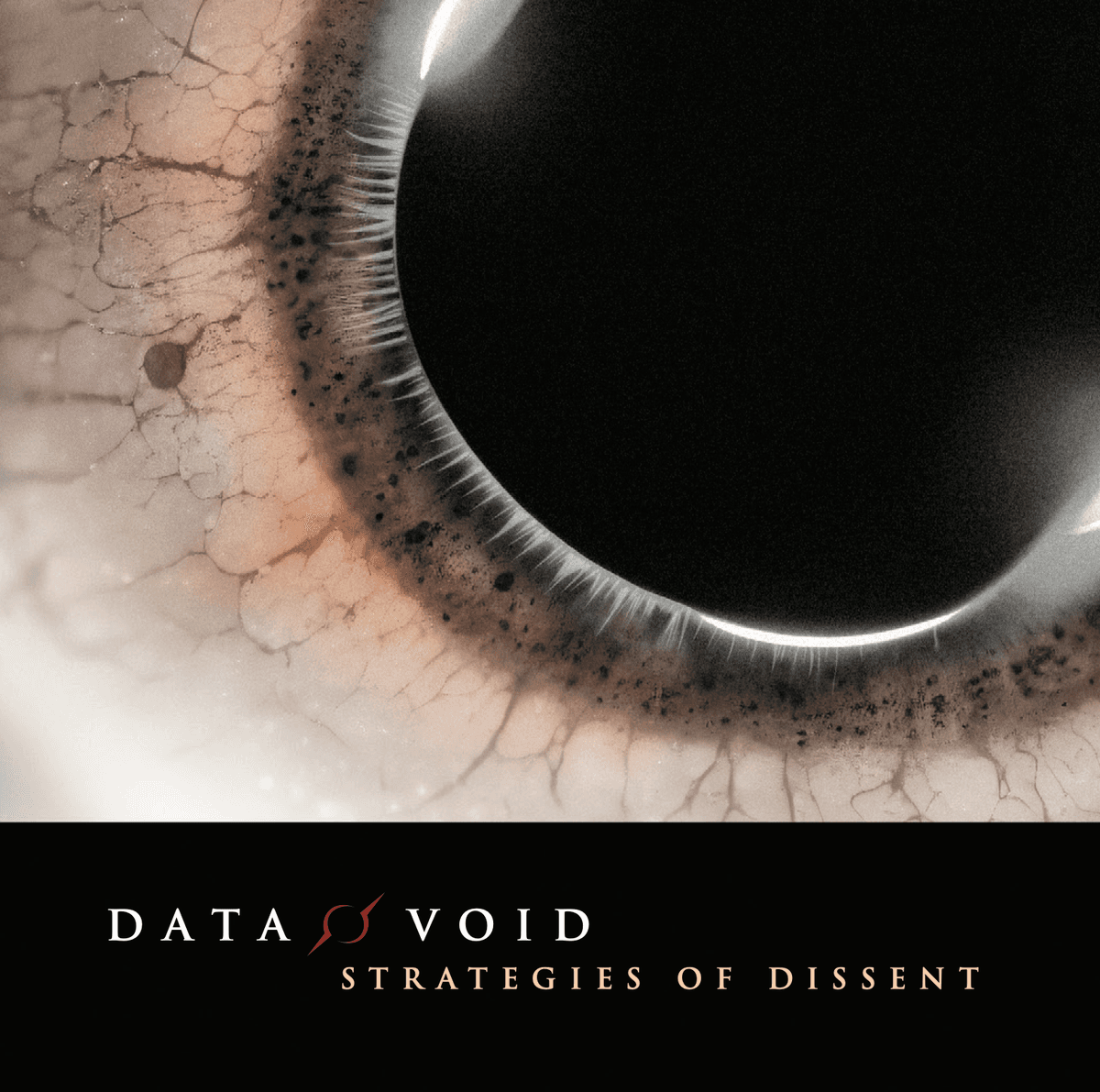 Strategies of Dissent