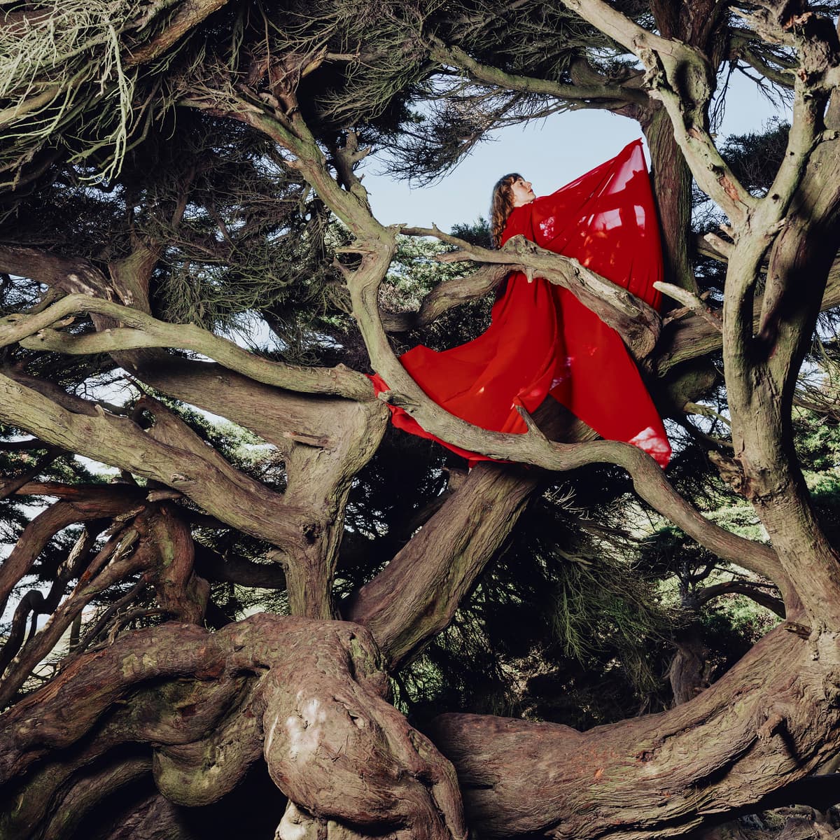 Nested in Tangles