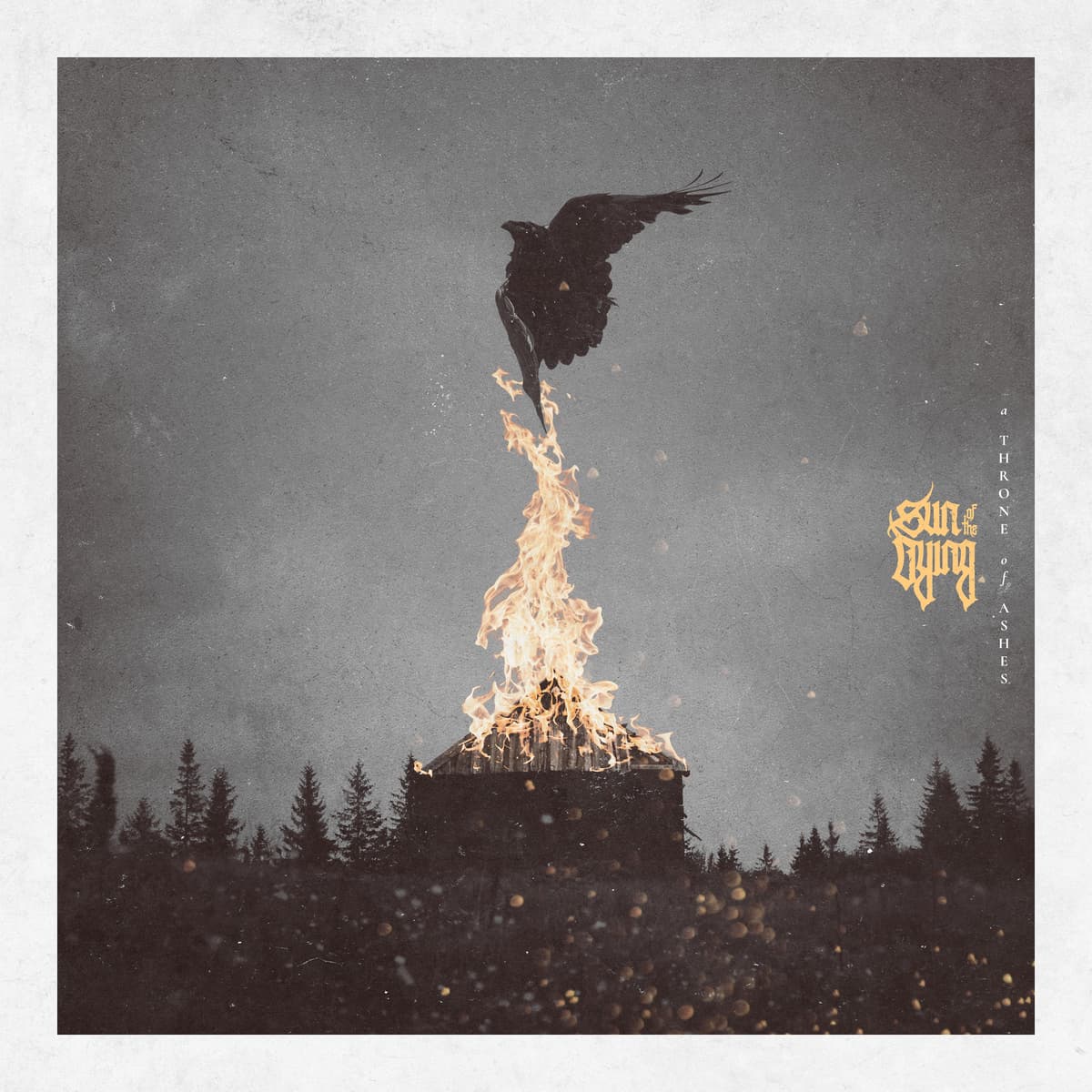 A Throne Of Ashes