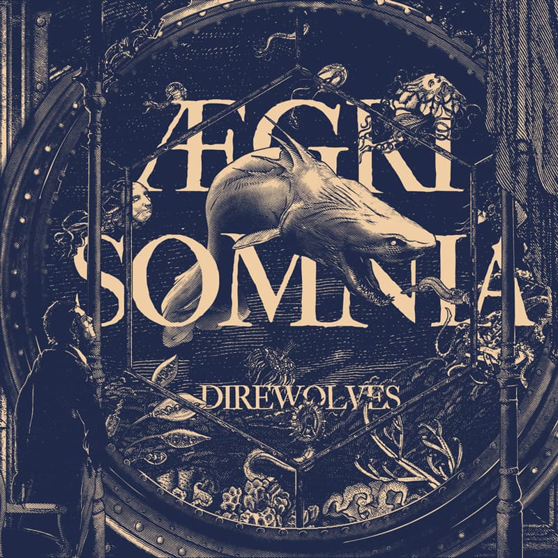 Aegri Somnia