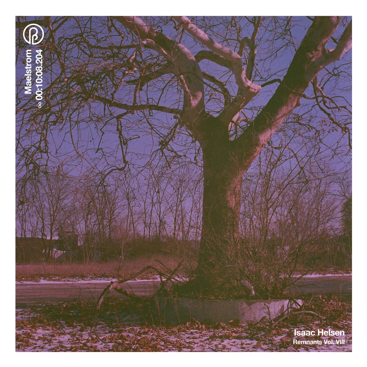 Remnants Vol. VIII