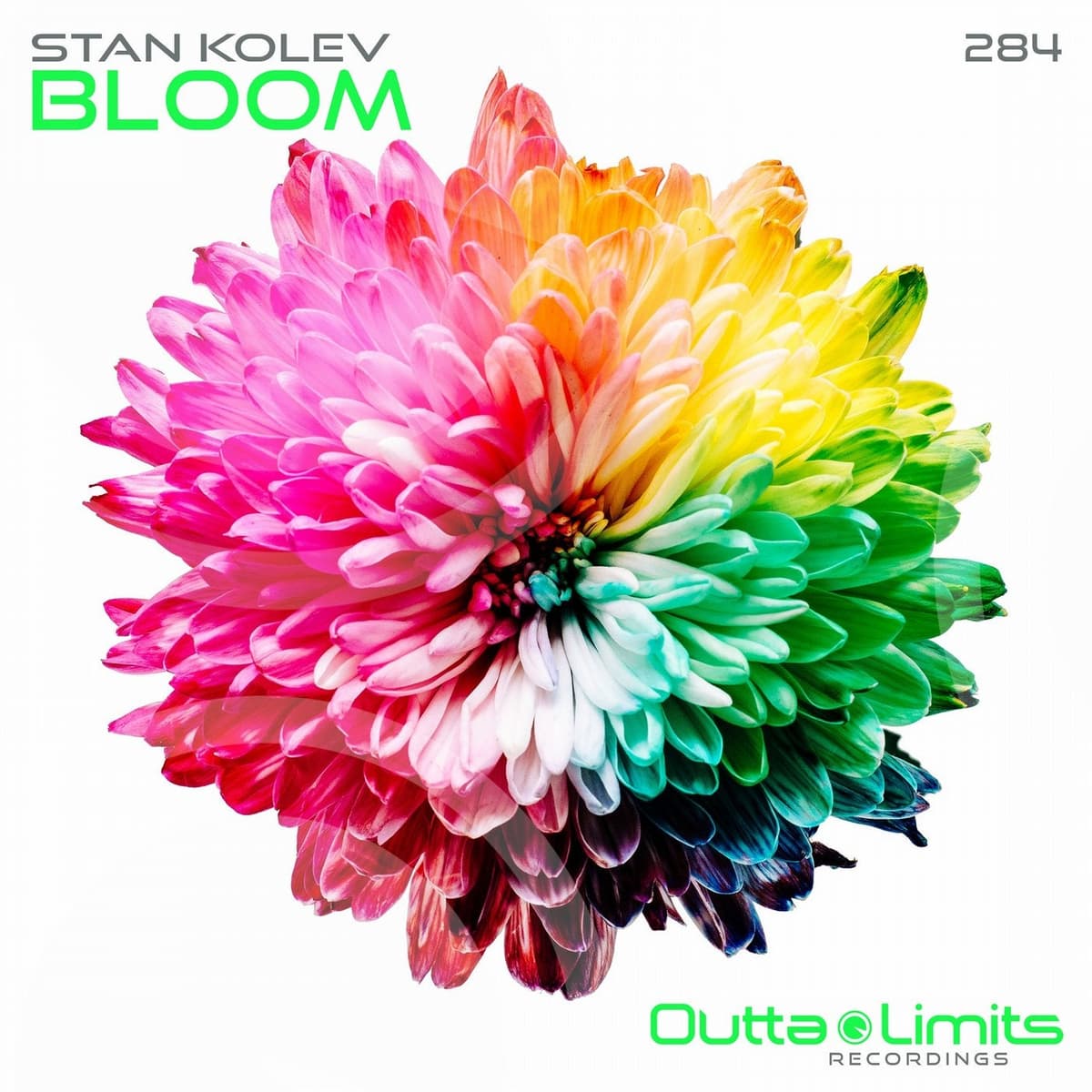 Bloom