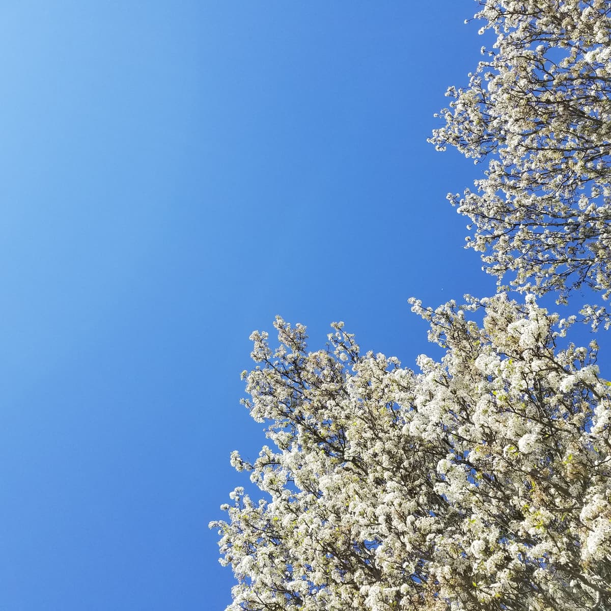 Sky VI–IX
