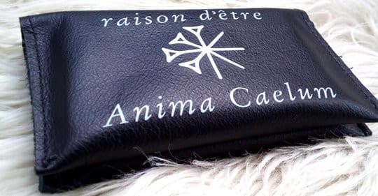Anima Caelum