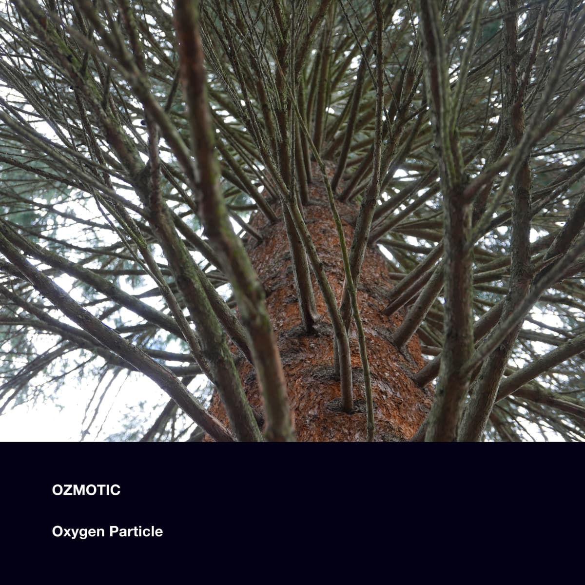 Oxygen Particle
