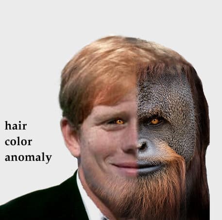 The Stench Of Ginger Kingdom