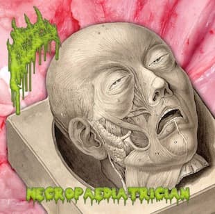 Necropaediatrician