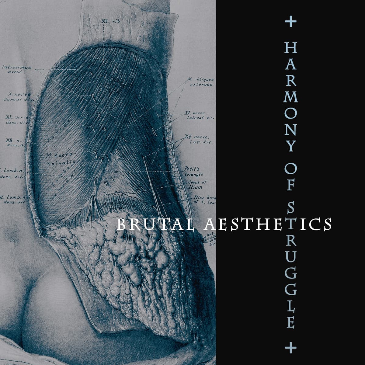 Brutal Aesthetics