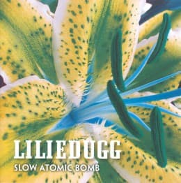 Slow Atomic Bomb