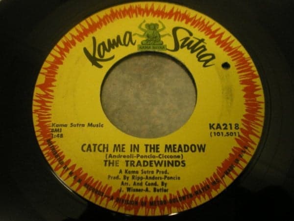 Catch Me in the Meadow