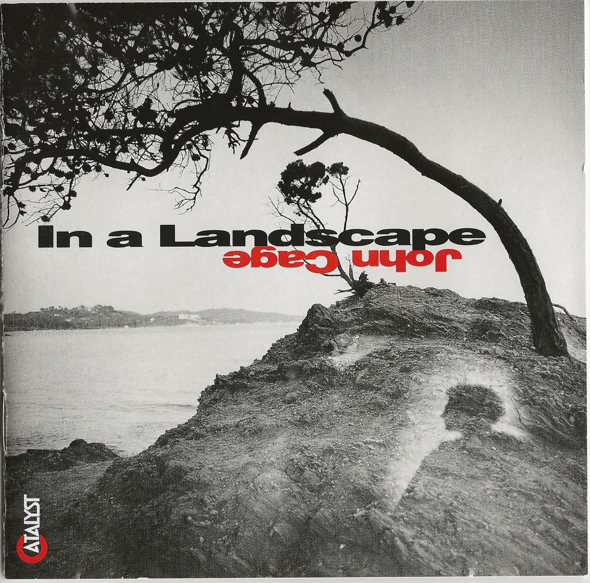 In a Landscape