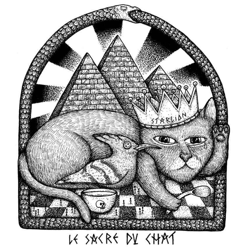 Le sacre du chat
