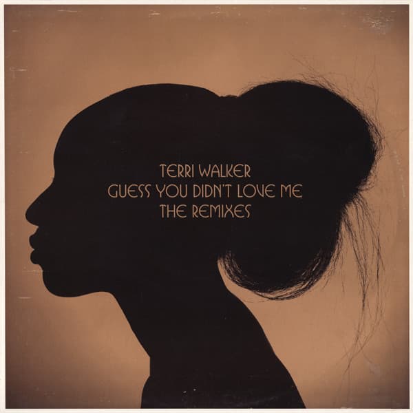 Guess You Didn't Love Me (The Remixes)