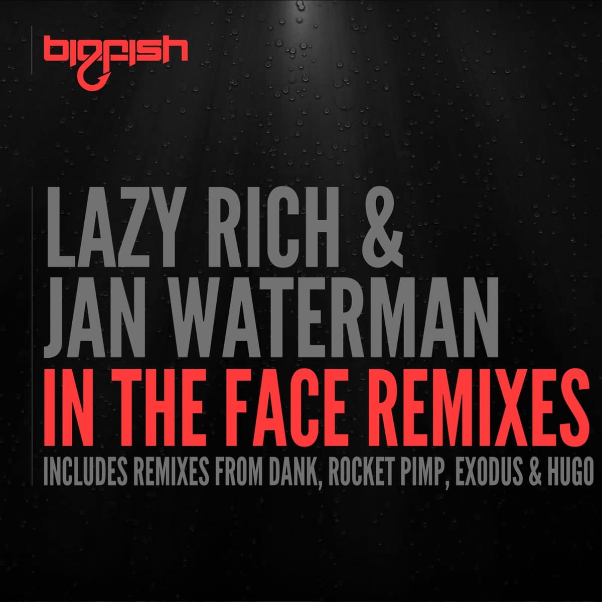 In the Face Remixes