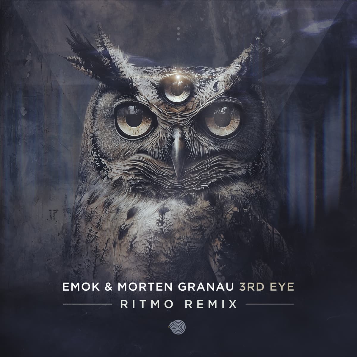 3rd Eye (Ritmo remix)