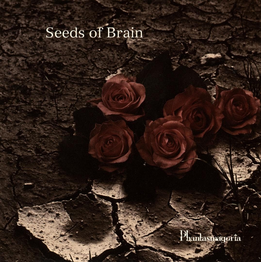 Seeds of Brain