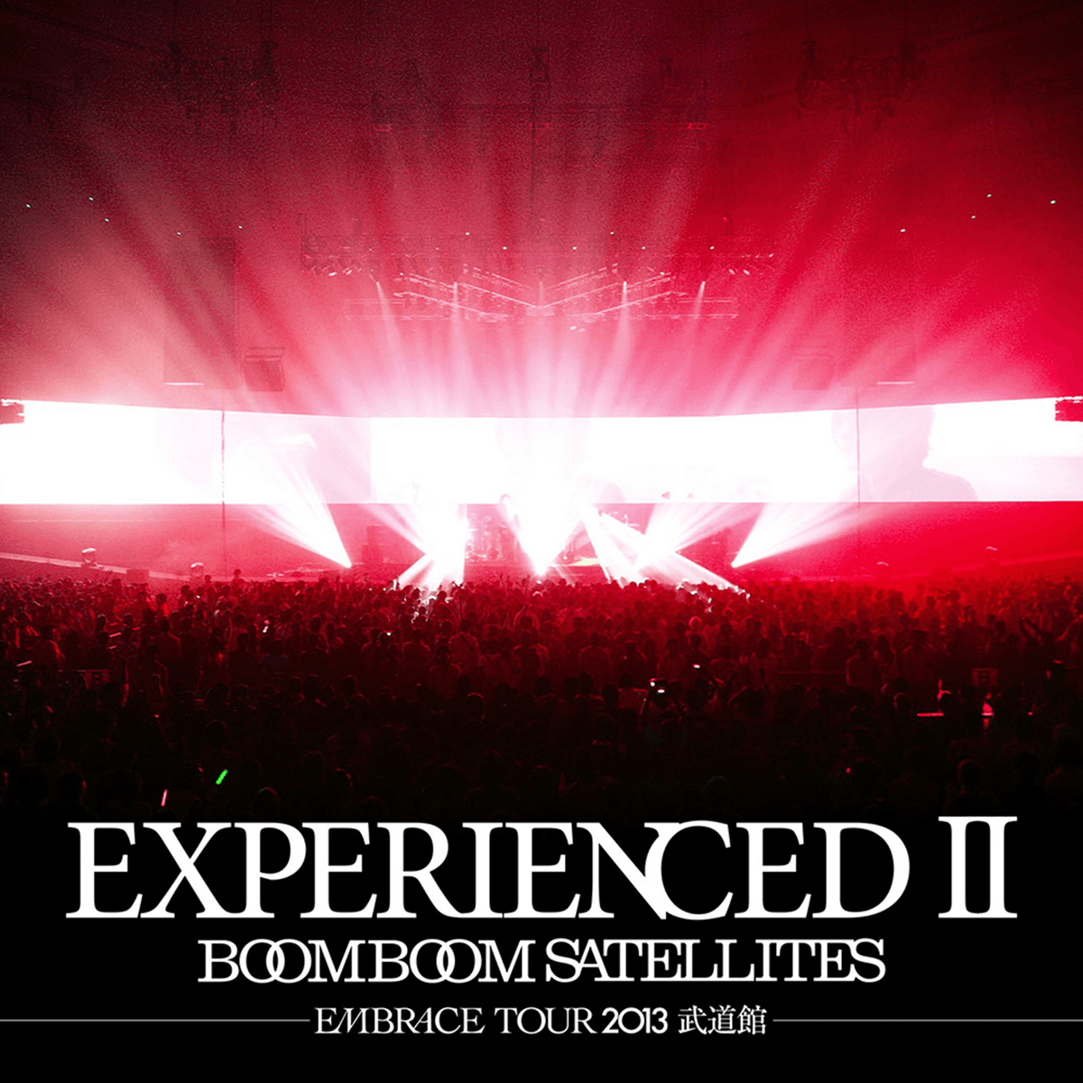 EXPERIENCEDⅡ-EMBRACE TOUR 2013 武道館-