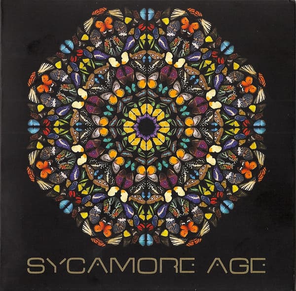 Sycamore Age