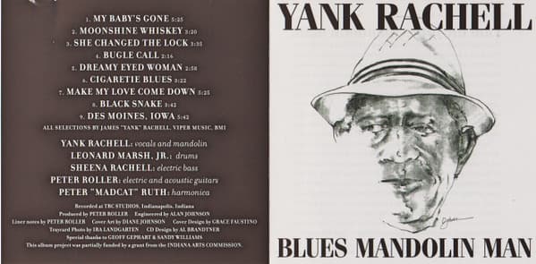 Blues Mandolin Man