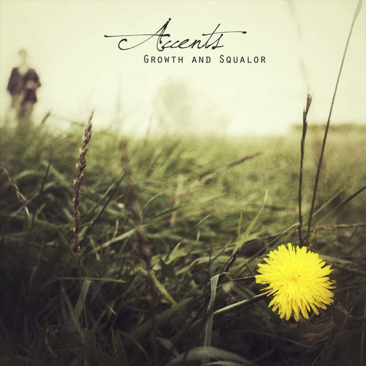 Growth and Squalor