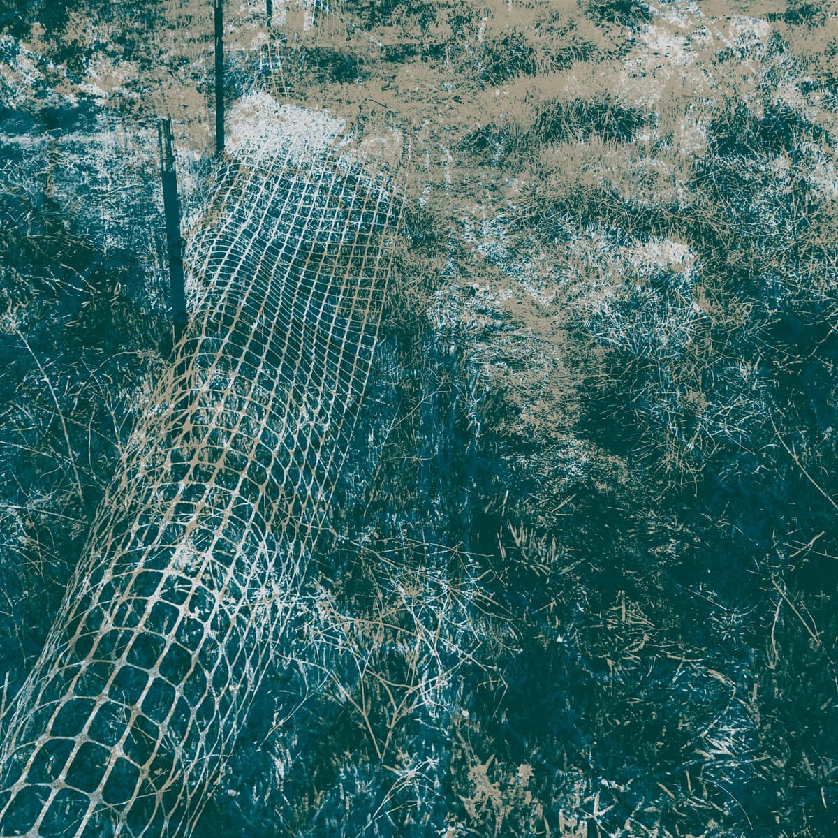 Ambulation