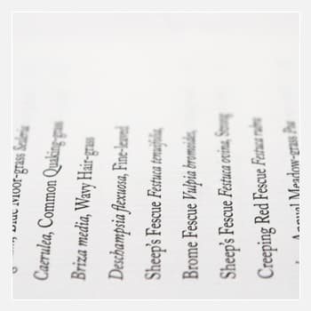 Wolf Notes