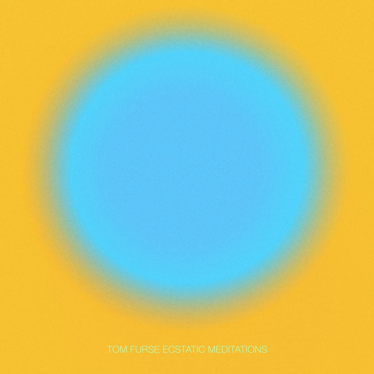 Ecstatic Meditations