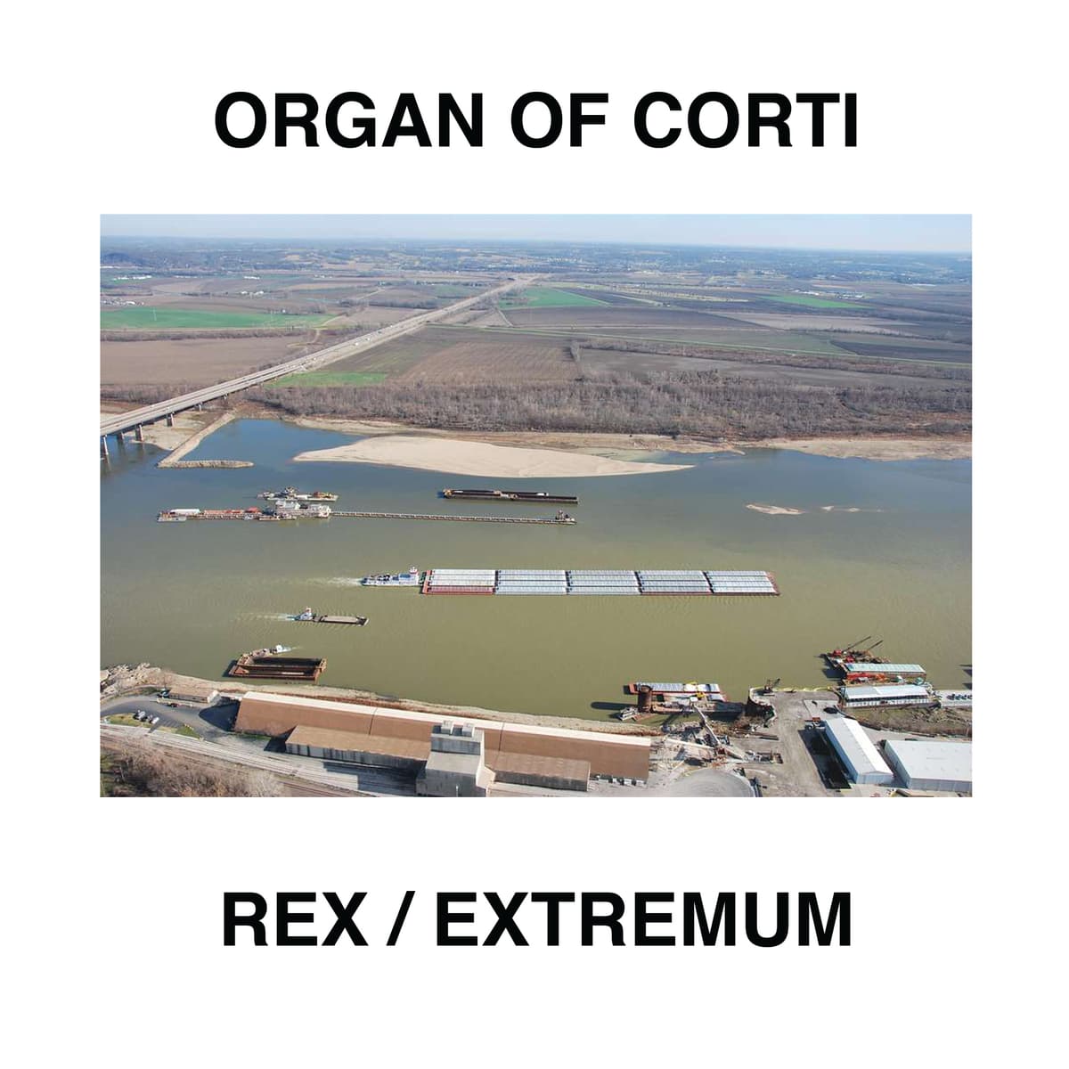 Rex / Extremum