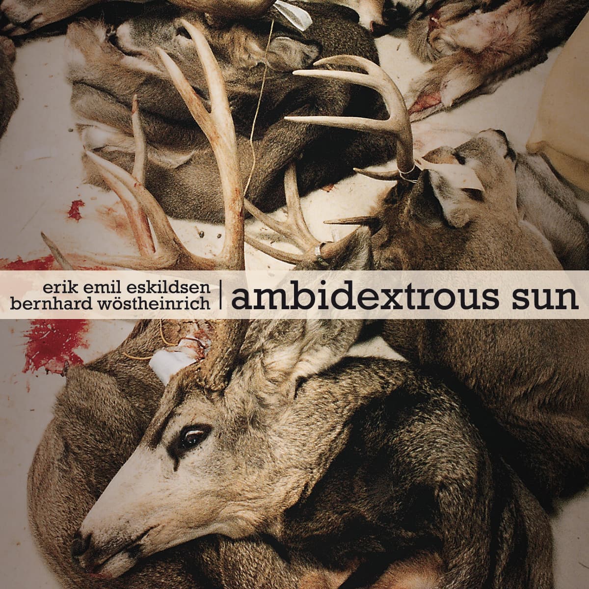 Ambidextrous Sun