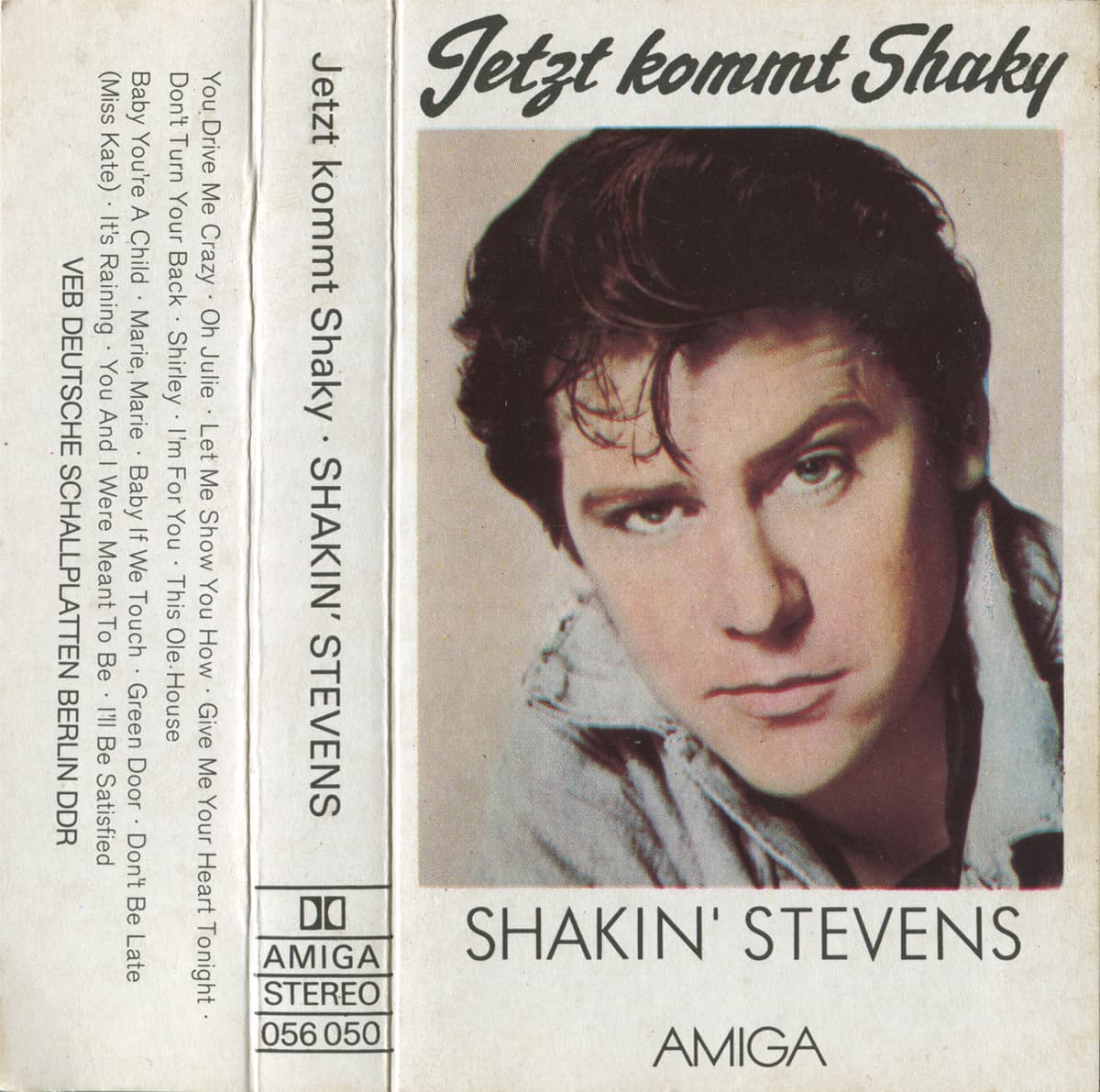 Jetzt kommt Shaky (Ein Dankeschön an alle meine Freunde)