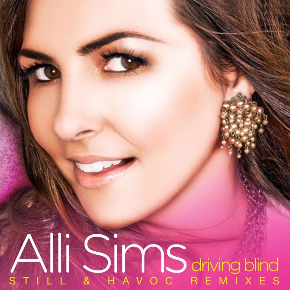 Driving Blind (Still & Havoc Remixes)