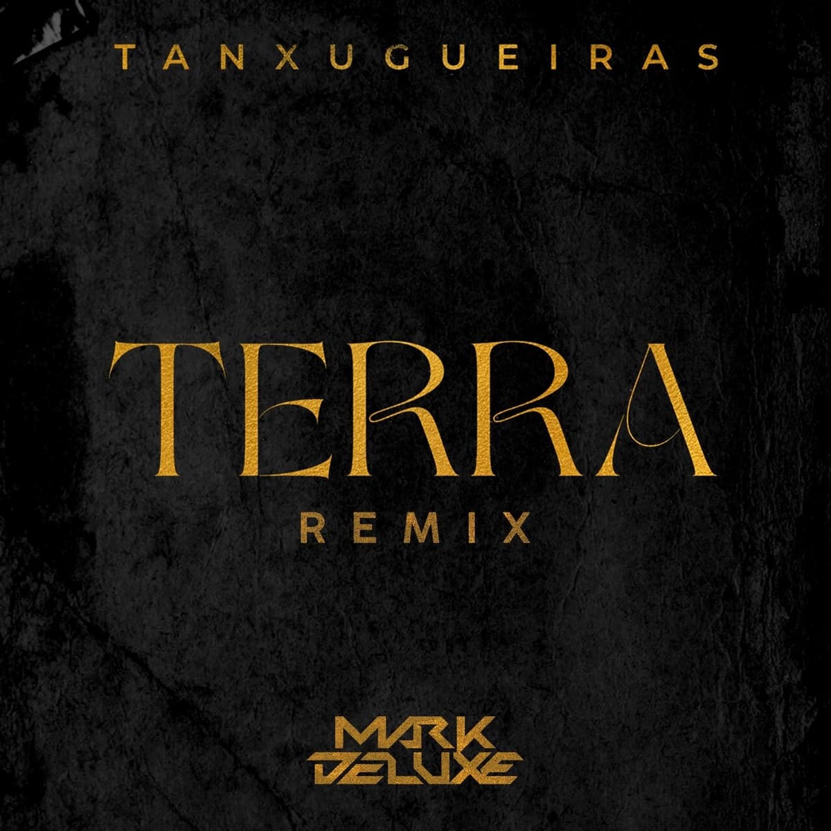 Terra (remix)