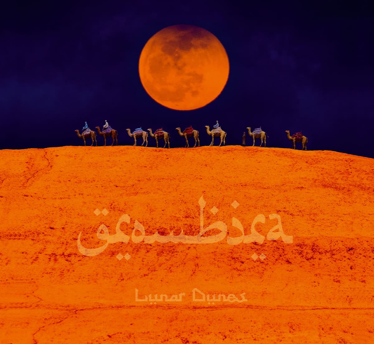 Lunar Dunes