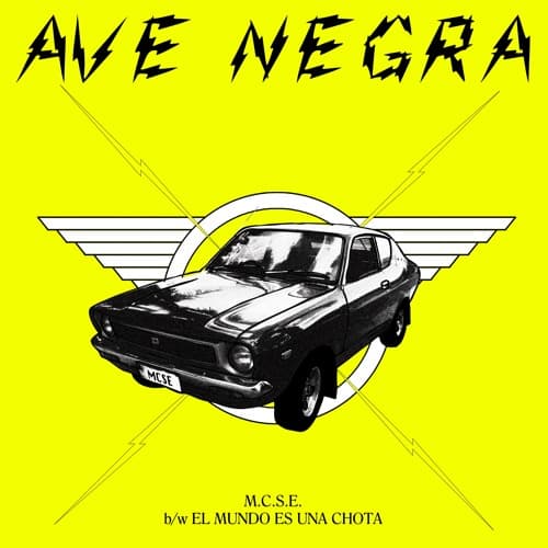 M.C.S.E.