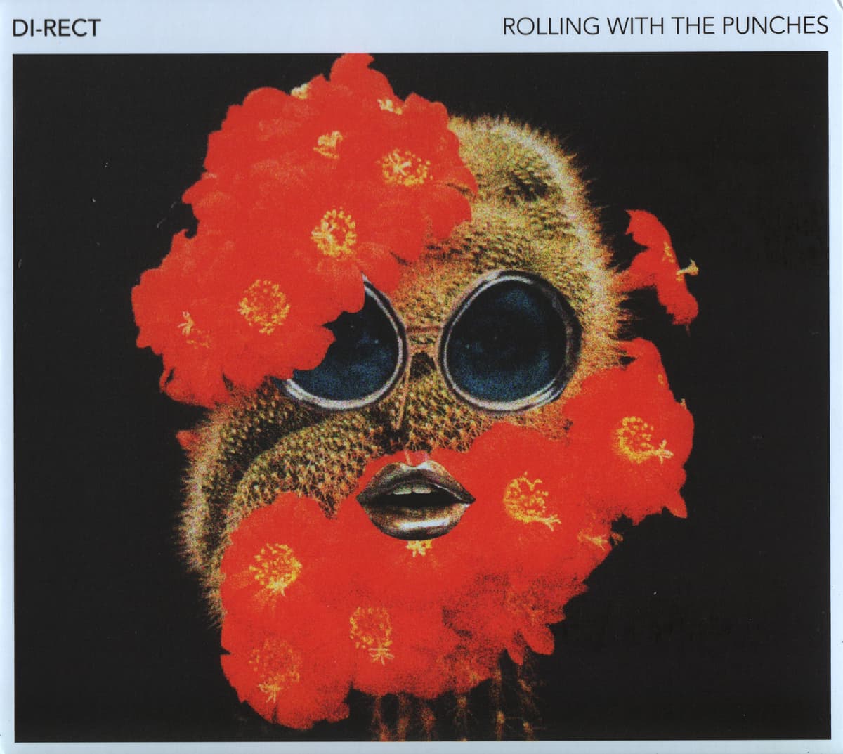 Rolling With the Punches