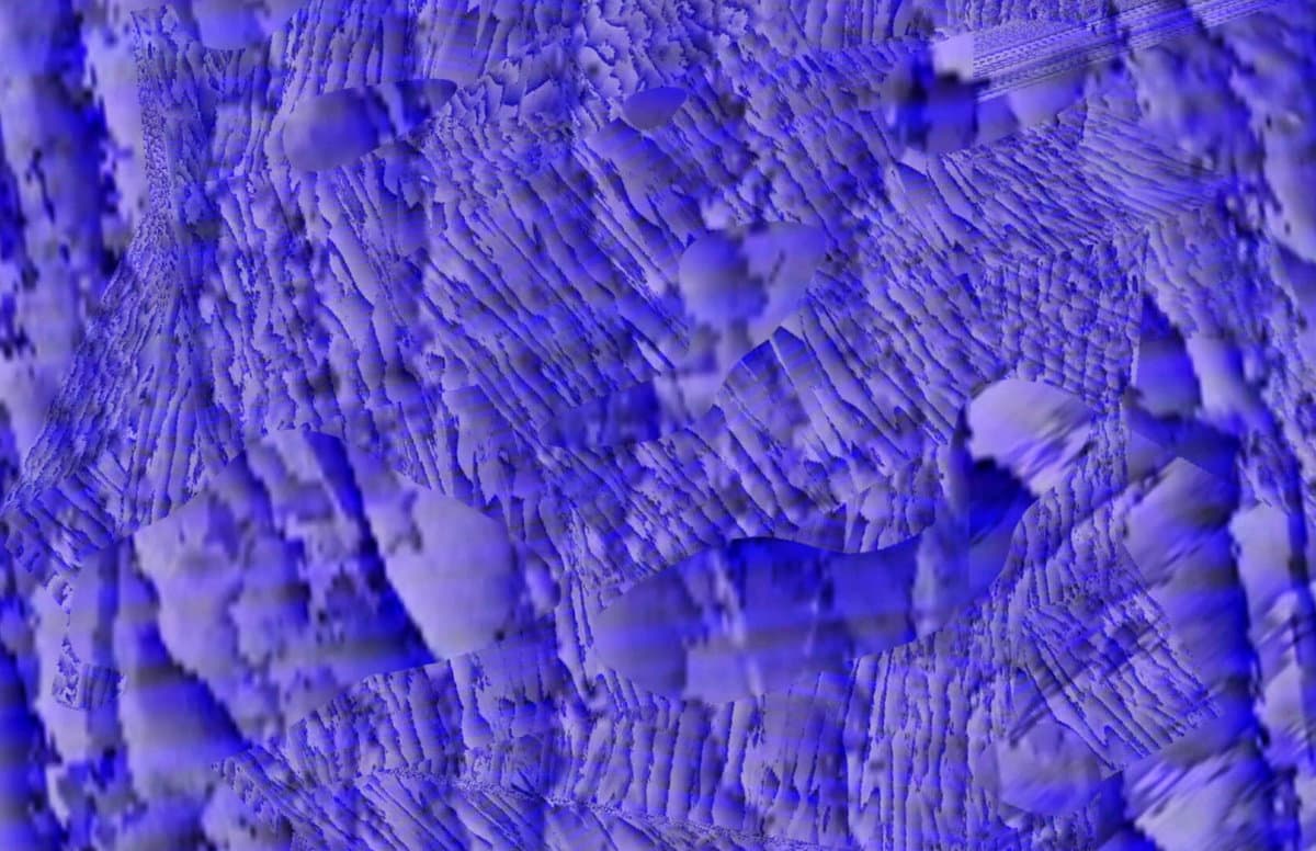 Fractured Whole (excerpt)