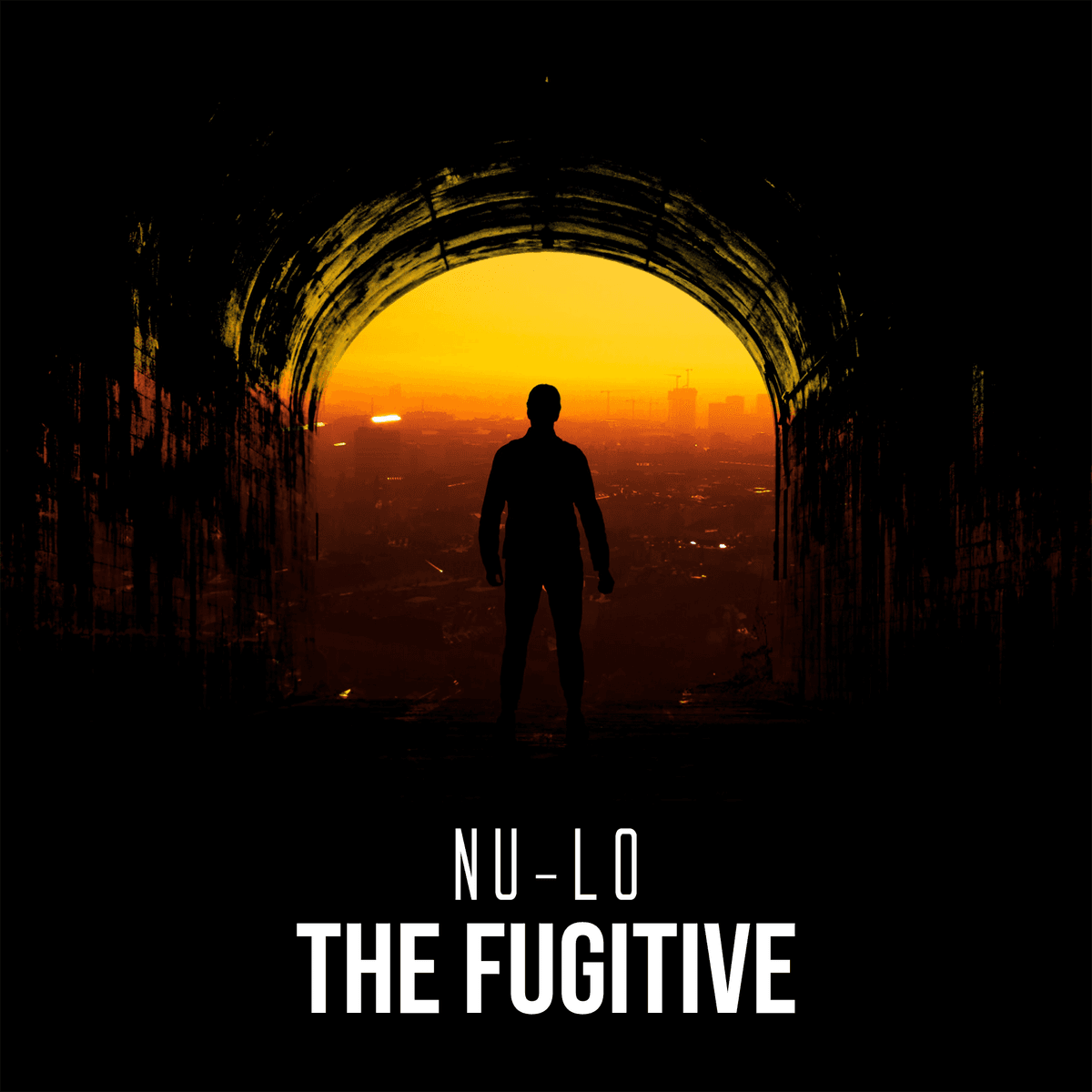 The Fugitive