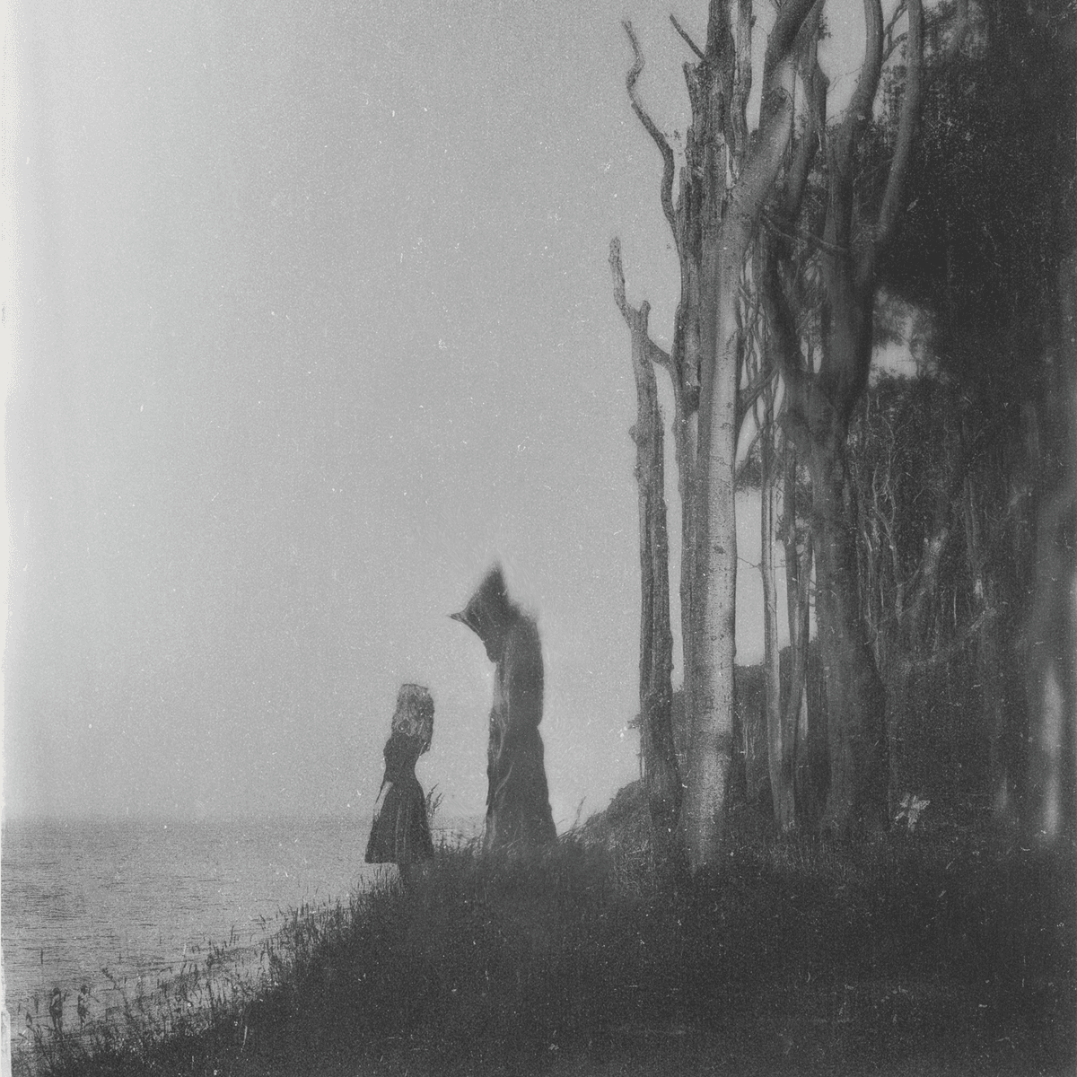 Visitations