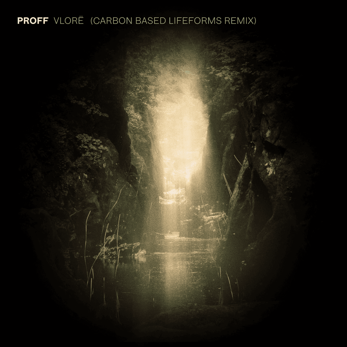 Vlorë (Carbon Based Lifeforms remix)