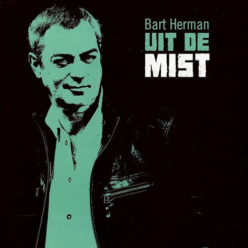 Uit de mist