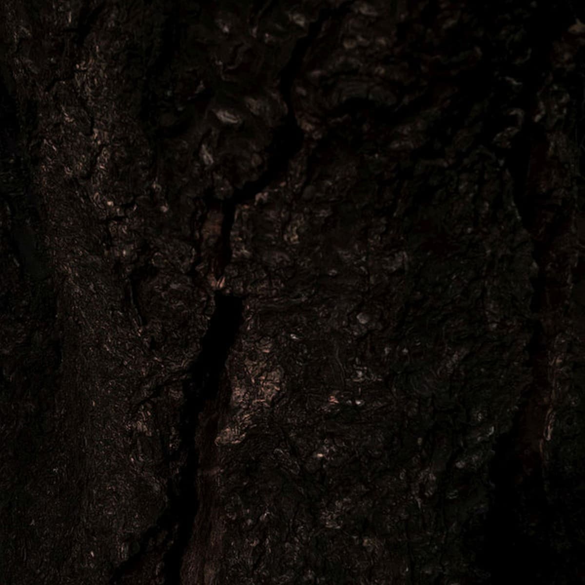 Hiding Behind the Snag