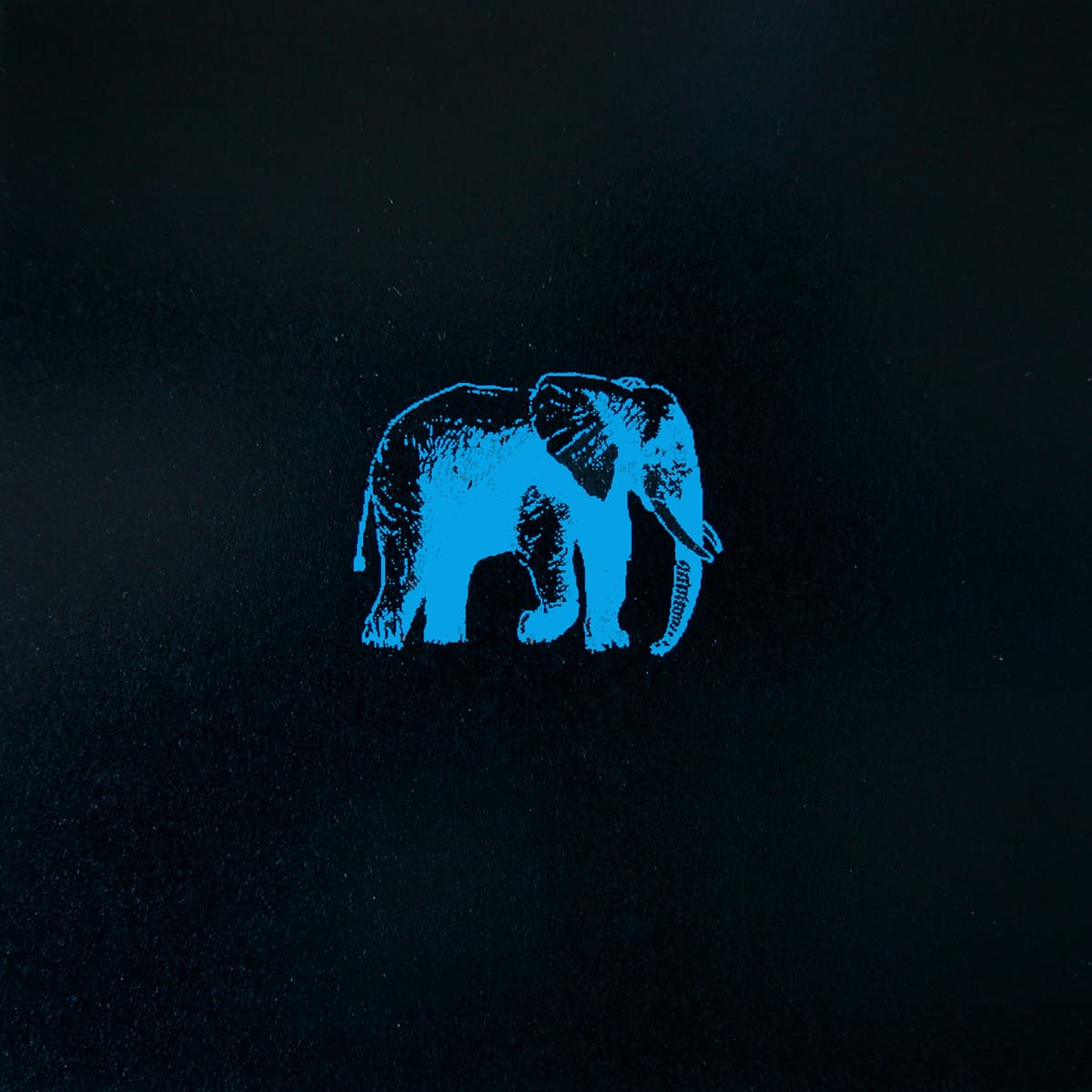 An Elephant Never Forgets