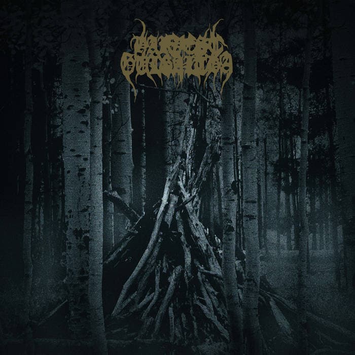 Ancient Woods