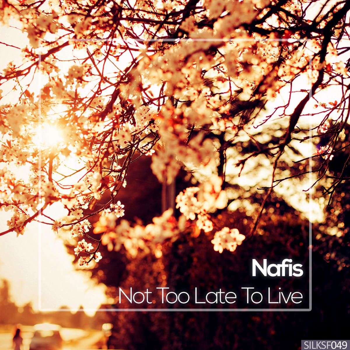 Not Too Late to Live