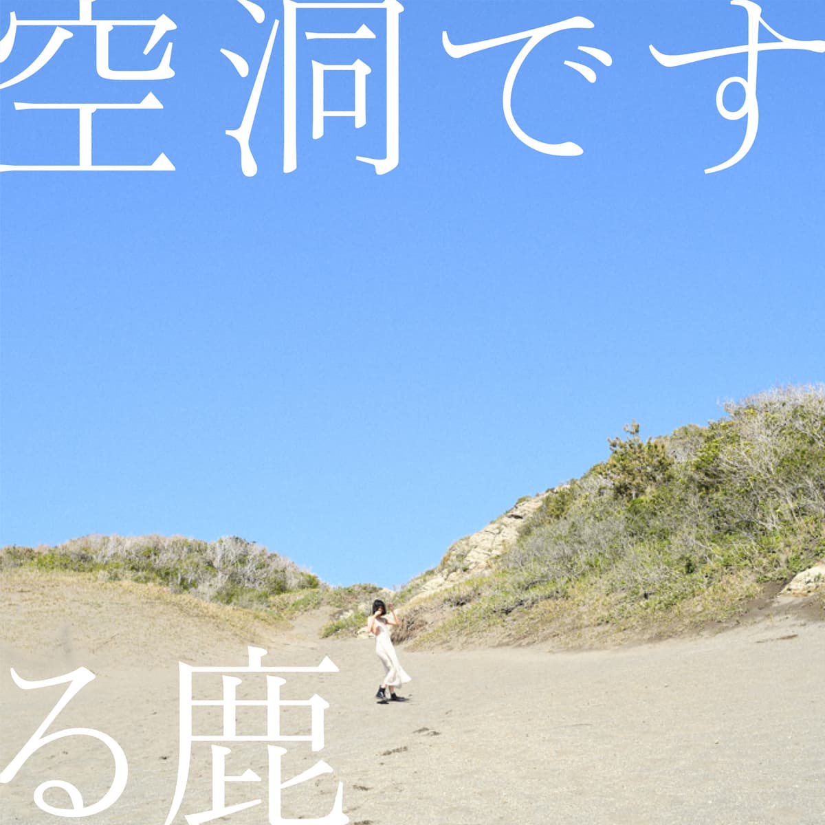 空洞です