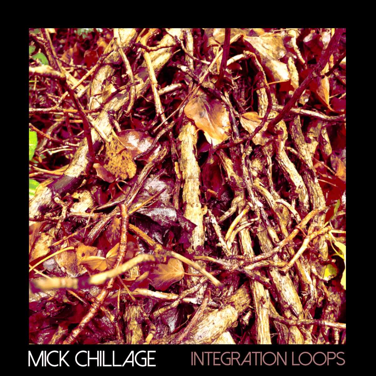 Integration Loops
