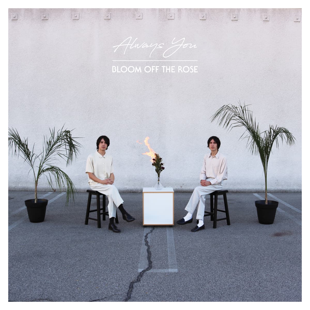 Bloom Off the Rose